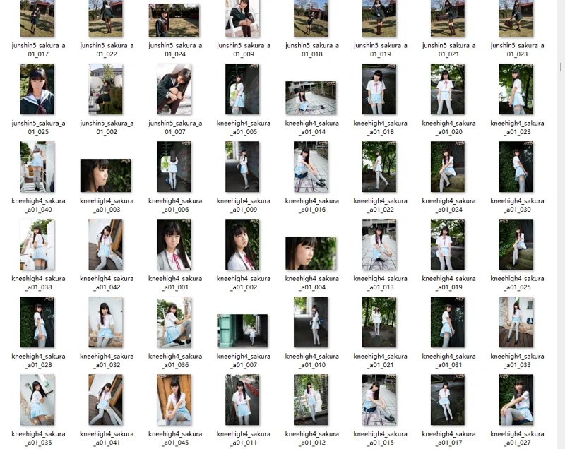 5.webp