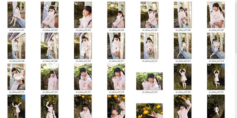 4.webp