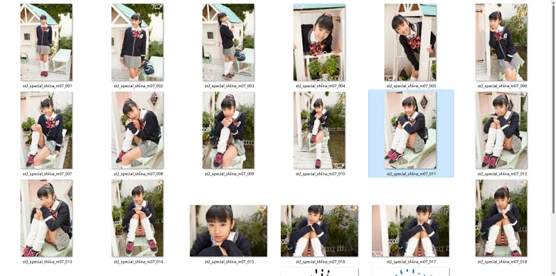 5.webp