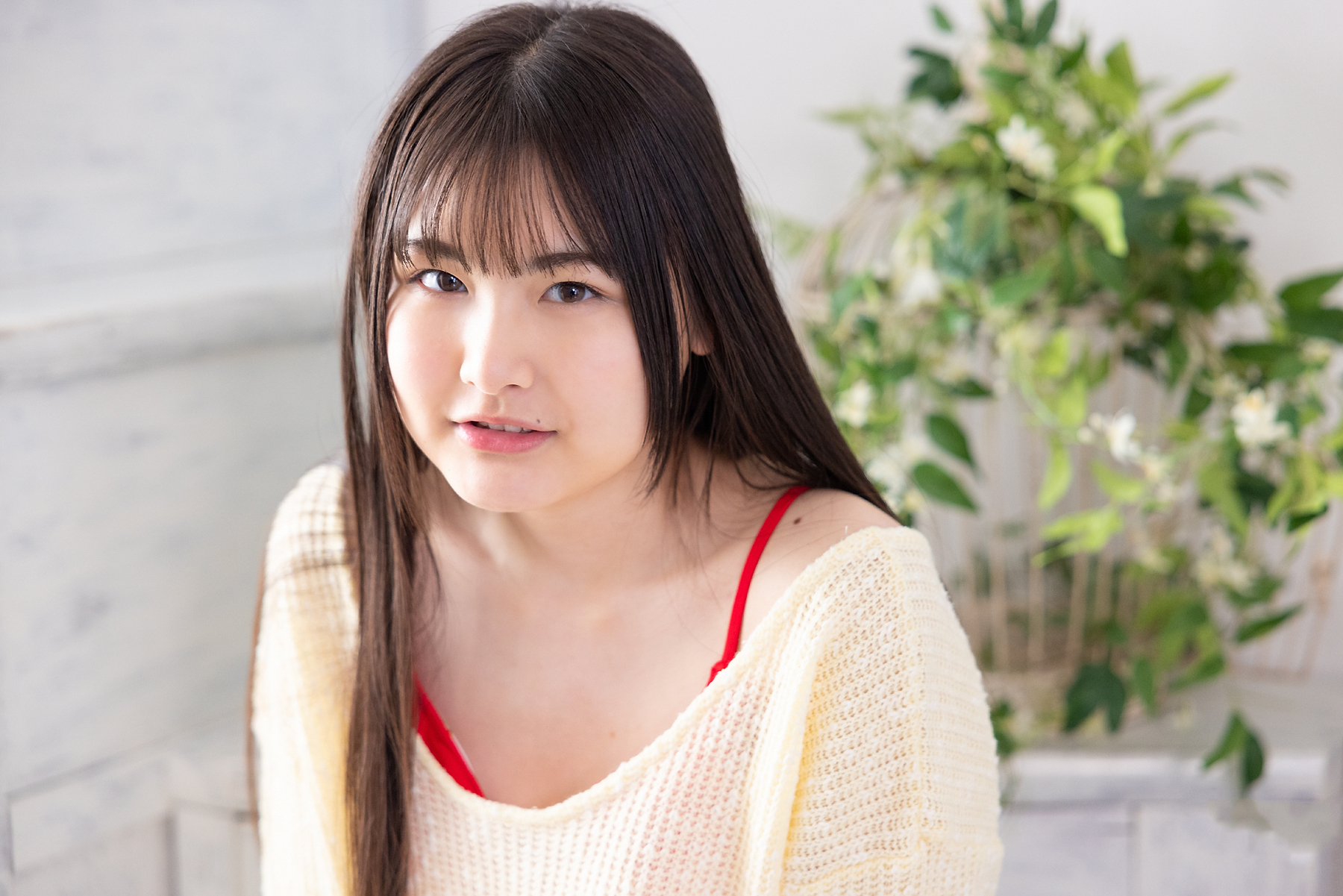 tennen11_yamasaka_a04_006.jpg